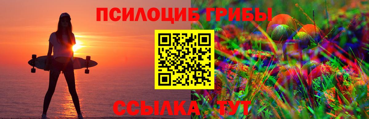 Псилоцибиновые грибы Cubensis Мичуринск