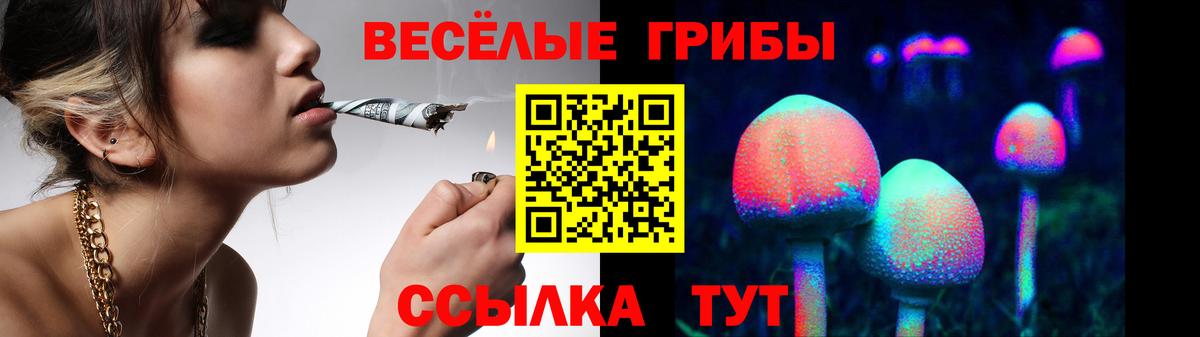 Галлюциногенные грибы ЛСД  Вход с VPN  Псилоцибиновые грибы GOLDEN TEACHER  даркнет сайт  Мичуринск 