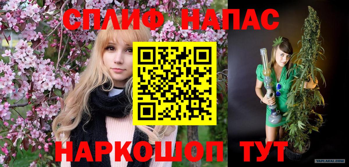 Конопля индика  Вход с VPN  Бошки Шишки тримм  Мичуринск 