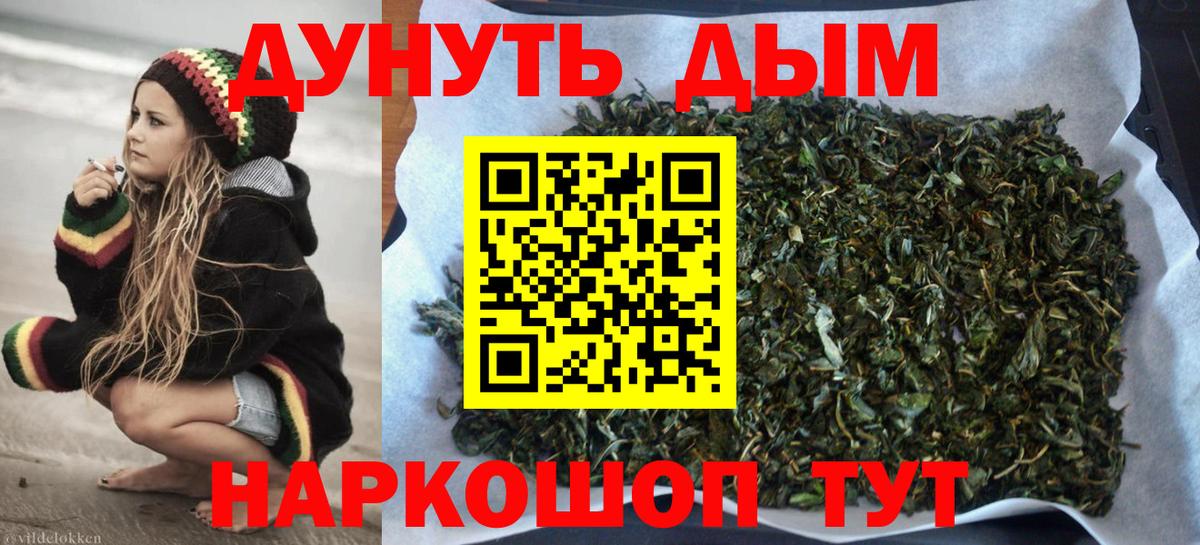 Конопля семена Мичуринск